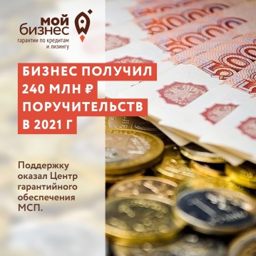Бизнес Вологодской области получил почти 240 миллионов рублей поручительств по программе господдержки в 2021 году